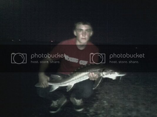 gator-2.jpg gator-2.jpg