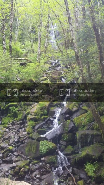 2011-05-17_11-18-13_871.jpg