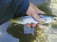 5871828512_8f9eb037e2_m.jpg