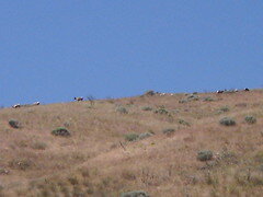 5913125939_8dd235c471_m.jpg 5913125939_8dd235c471_m.jpg