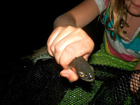 100_0535.jpg 100_0535.jpg