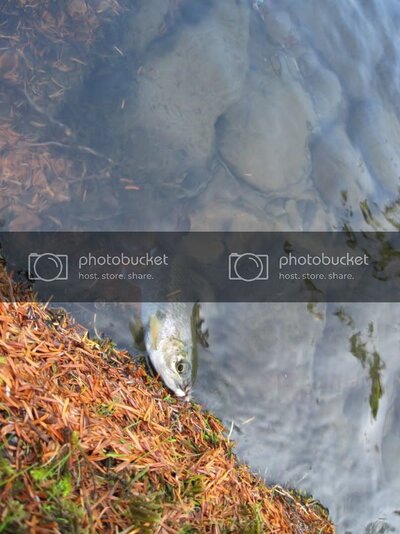 IMG_0319.jpg IMG_0319.jpg