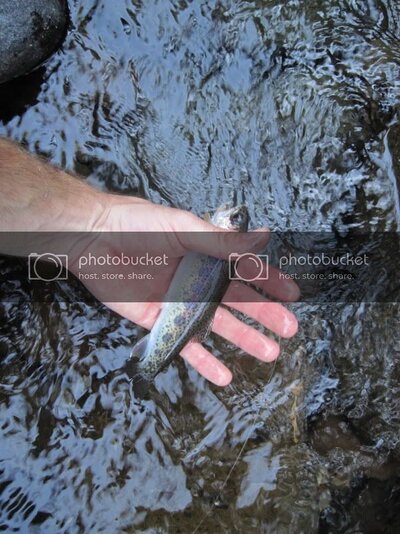 IMG_0337.jpg IMG_0337.jpg