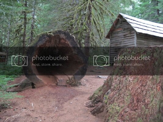 IMG_0340.jpg IMG_0340.jpg