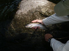 6199290639_9ca20b616d_m.jpg 6199290639_9ca20b616d_m.jpg