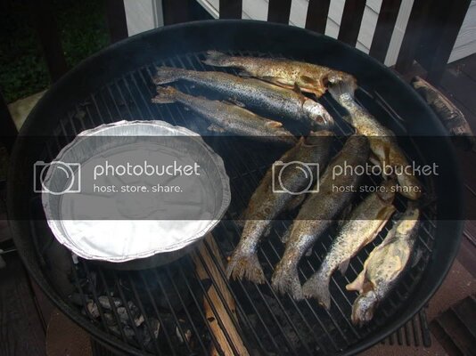 IMG_5348.jpg IMG_5348.jpg