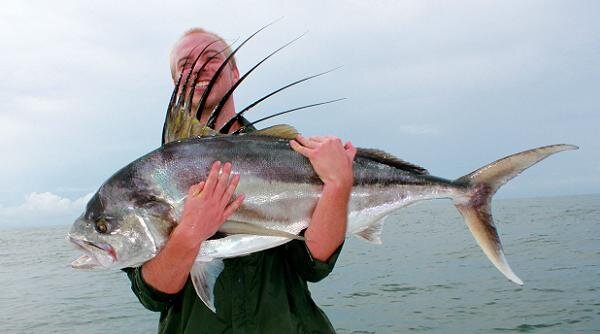 nov2011c.jpg nov2011c.jpg