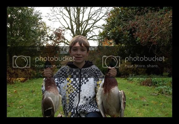 FirstDucks.jpg