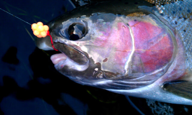 IMAG0142.jpg