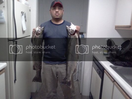 IMG330.jpg IMG330.jpg