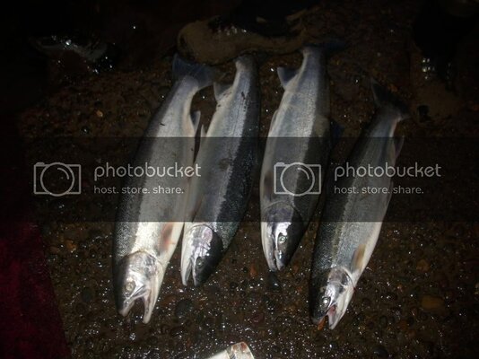 coastalwinters272012040.jpg