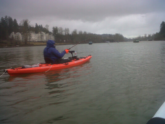 IMG00136-20120217-1621.jpg