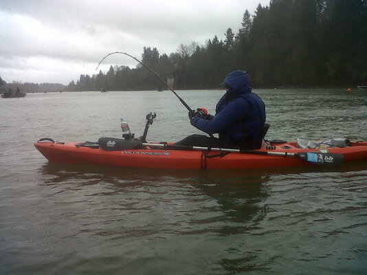 IMG00137-20120217-1622.jpg