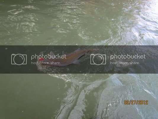 IMG_2427.jpg