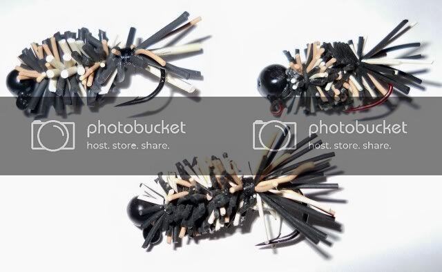 Leggybugstrimmed2.jpg Leggybugstrimmed2.jpg