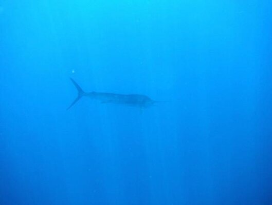 june242012f.jpg