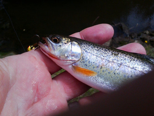0708121241.jpg 0708121241.jpg