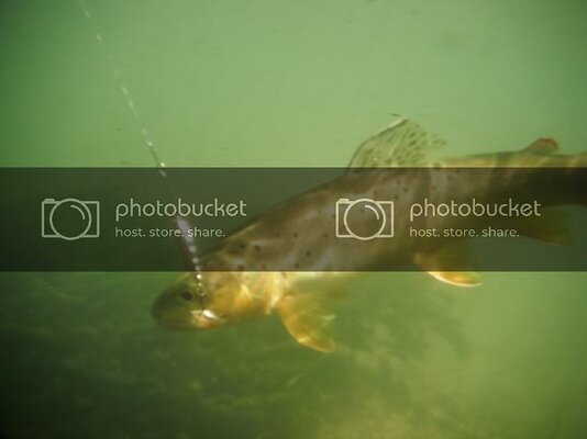 UndrWtrSid17262012-1.jpg UndrWtrSid17262012-1.jpg