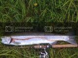 52012chrome.jpg 52012chrome.jpg