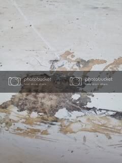 0-6734-481C-9309-D7181DEB32F4-105-00000007D8436B6D.jpg 0-6734-481C-9309-D7181DEB32F4-105-00000007D8436B6D.jpg