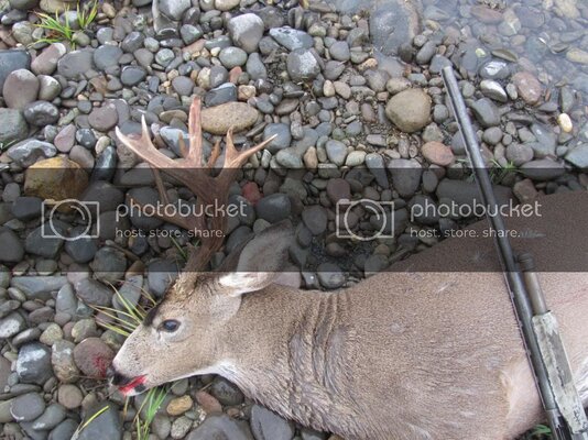IMG_0705-Copy_zps2fb79c6e.jpg