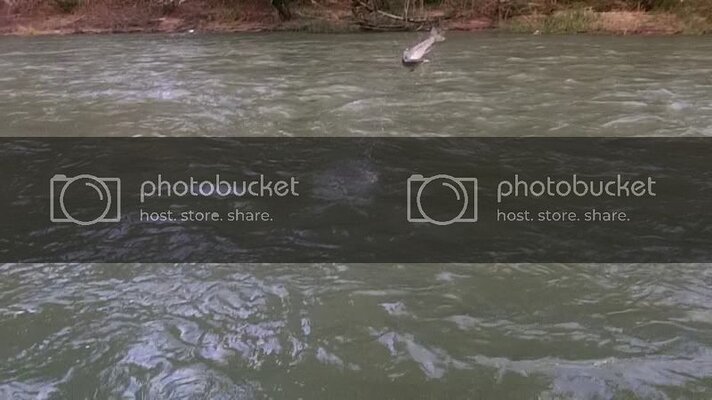 Snapshot-12_zps5e2ec08e.jpg