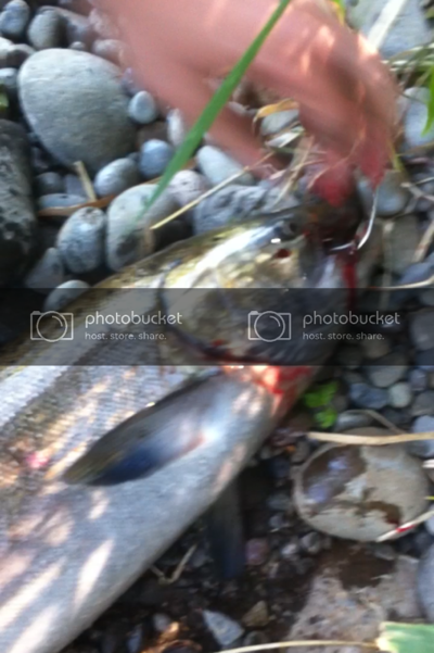 IMG_0196-1_zps2ef60434.png IMG_0196-1_zps2ef60434.png