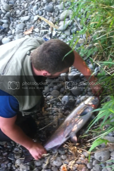 IMG_0191_zps29cf6c6d.png IMG_0191_zps29cf6c6d.png