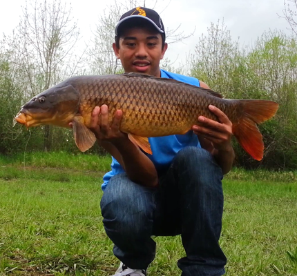 18+lb+common+carp.png