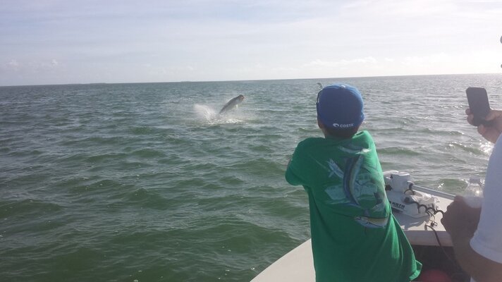 1215tarpon-1024x576.jpg 1215tarpon-1024x576.jpg