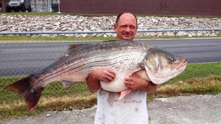 HT_STRIPED_BASS_150526_DG_16x9_992.jpg HT_STRIPED_BASS_150526_DG_16x9_992.jpg