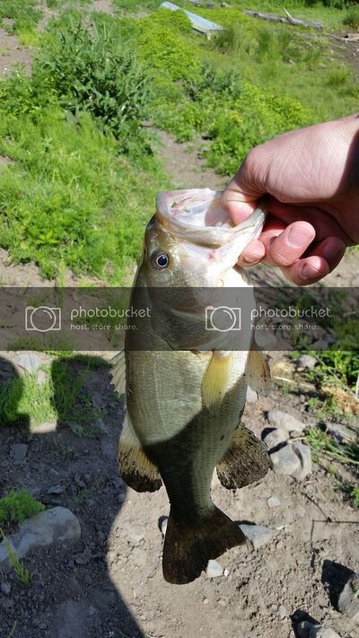 20150613_094448.jpg