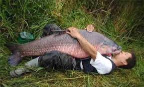 carp-love.jpg