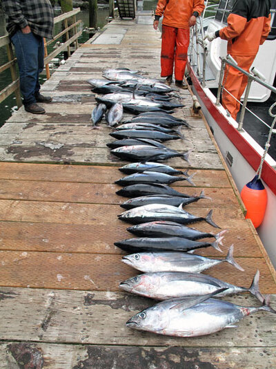 fishondock.jpg