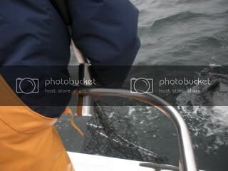 DSCN0842.jpg