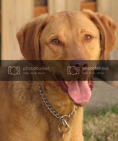 murphy081707.jpg