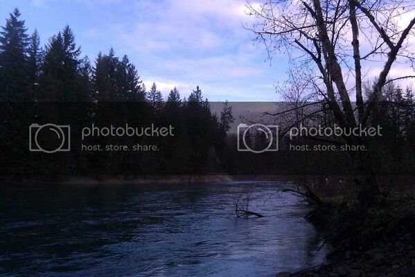 Mciver01-31-20101.jpg