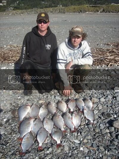 Help! Surf perch  Oregon Life Forum