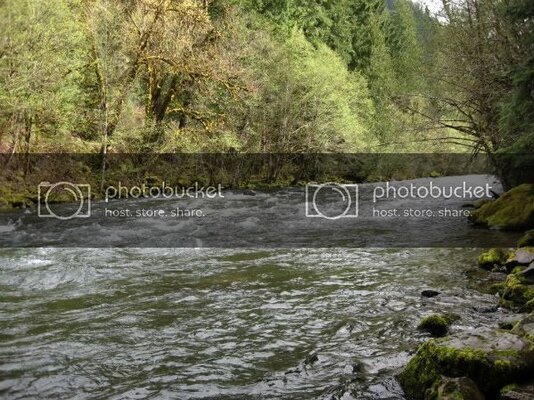 Fishing008.jpg