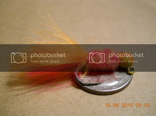 Steelheadpinksmall.jpg