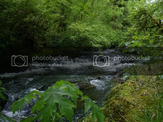 creek1.jpg