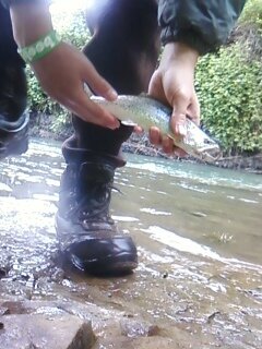 big fish of the day. but it's not a big fish LOL.jpg