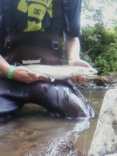 trophy cutthroat.jpg trophy cutthroat.jpg