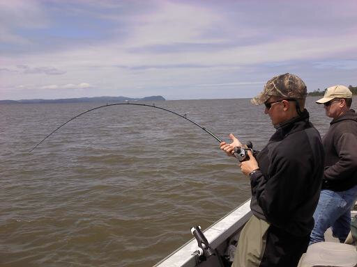 Fish on.jpg Fish on.jpg