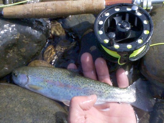 2011-07-10 09.52.41.jpg 2011-07-10 09.52.41.jpg