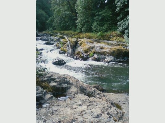 calapooia river.jpg