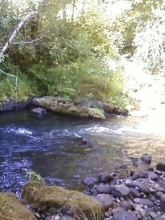 070211130439.jpg 070211130439.jpg