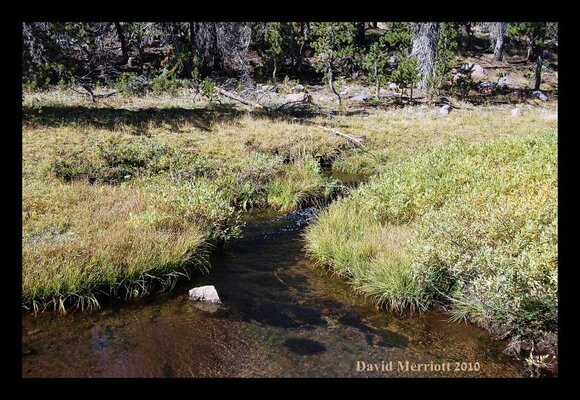 Three Creeks Lake.jpg