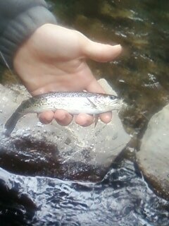 brad's first on the fly.jpg