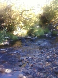 the creek.jpg